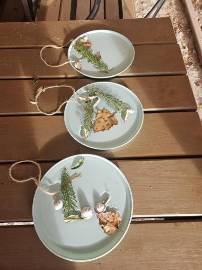 motion_photo_7956558156291803480 (Copy).jpg