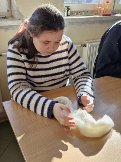 20260303_092400 (Copy).jpg