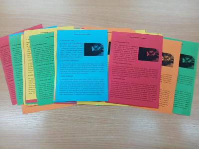 chron_2 (Copy).jpg